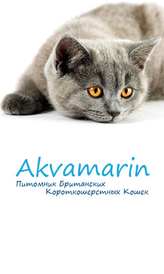 www.briakvamarin.ru - %C3%81%C3%B0%C3%A8%C3%B2%C3%A0%C3%AD%C3%B1%C3%AA%C
