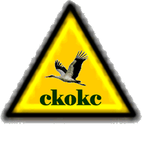 www.ckokc.ru - 